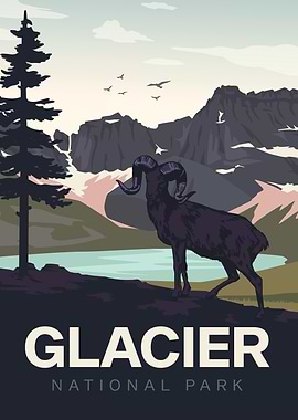 Glacier National Park Ram Illustration