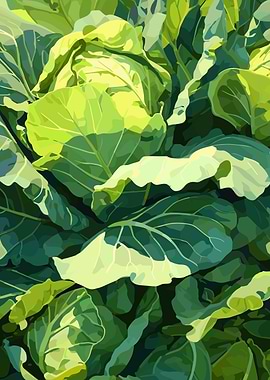 Green Cabbage Leaves Digital Art