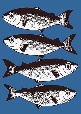 Four Fish Illustration on Blue Background