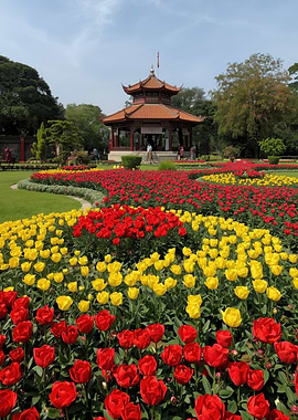 Asian Pagoda in a Tulip Garden