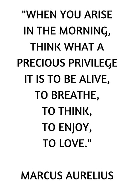 Marcus Aurelius Quote on White