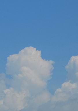 Blue Sky with White Clouds