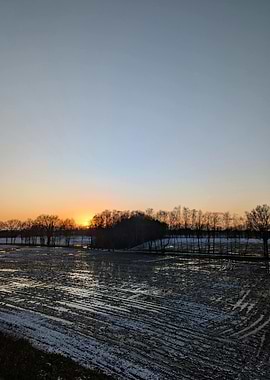 Winter Sunset Over Field