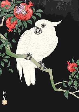Cockatoo and Pomegranates Art