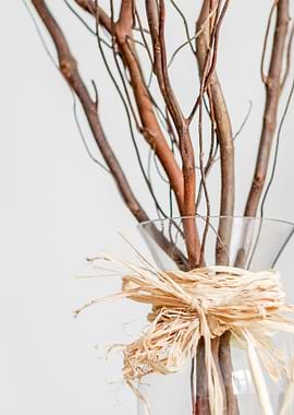 Branches in Vase with Raffia Tie