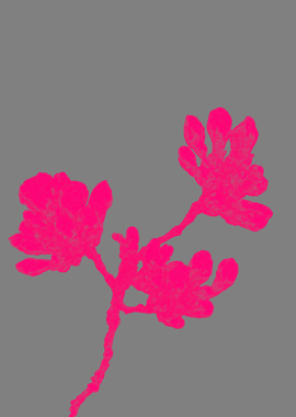 Hot Pink Floral Silhouette on Gray