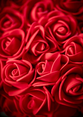 Everlasting Red Roses - Close Up Photography