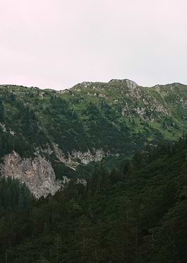Lush Green Mountain Landscape