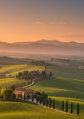 Tuscan Landscape with Cypress Trees