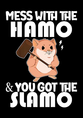 Mess with the Ham, get the Slamo