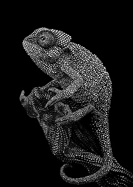 Chameleon Illustration - Black and White