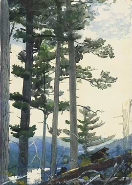 Watercolor Painting of Forest with Bear