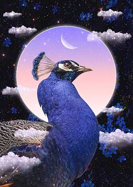 Peacock in Celestial Dreamscape