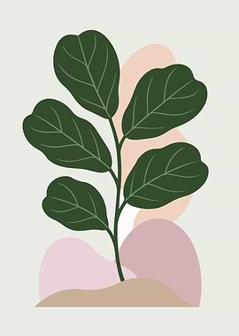 Fiddle Leaf Fig Plant Illustration