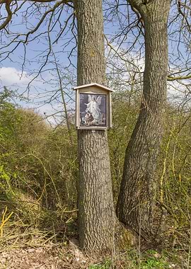 Religious Shrine on Tree Trunk