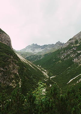 Mountain Valley Landscape