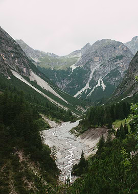 Mountain Valley with River and Trees