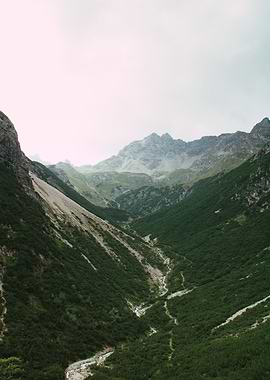 Mountain Valley Landscape