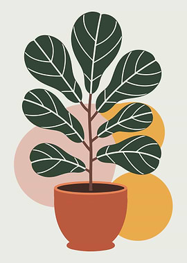 Fiddle Leaf Fig Plant Illustration