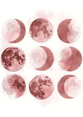 Moon Phases in Rose Tones