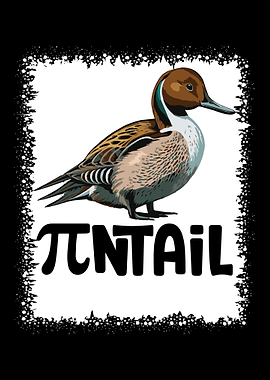 Pintail Duck with Pi Symbol Pi day