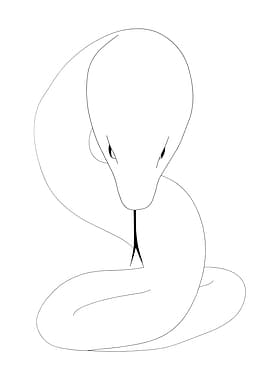 Minimalist Mythical Huge Snake Line Art Drawing