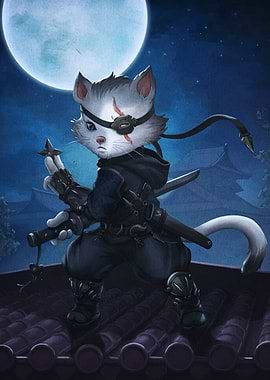 Ninja Cat on Rooftop