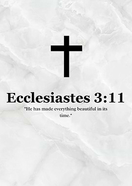 Ecclesiastes 3:11 Bible Verse