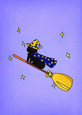 Wizard Cat on Broomstick