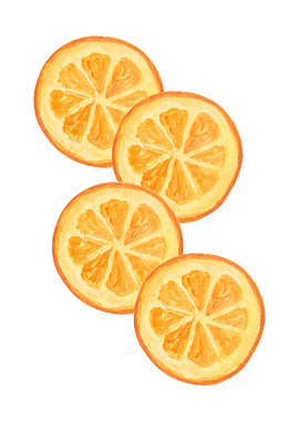 Watercolor Orange Slices