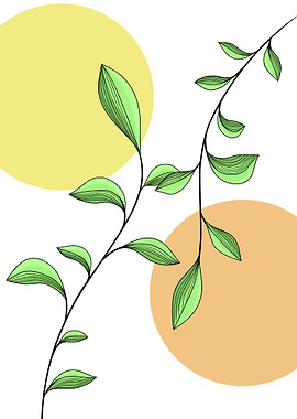 Botanical Illustration with Circles