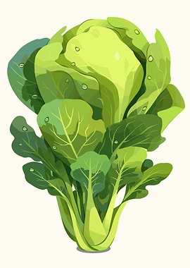 Illustration of Bok Choy with Water Droplets