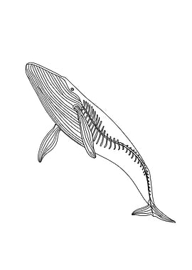Mythical Monster Skeleton Whale Minimalist Line Art