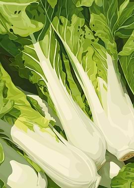 Fresh Bok Choy Vegetable Illustration
