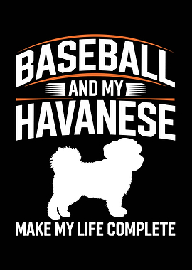 Baseball and Havanese Dog