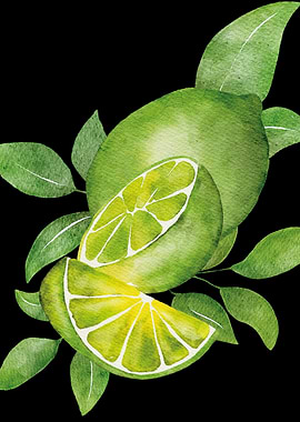 Watercolor Limes and Leaves on Black