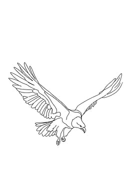 Mythical Roc Giant Bird in Flight Line Art