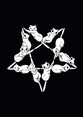 Where the cats go at night