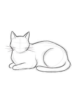 Cat Sketch
