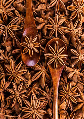 Star Anise and Wooden Spoons