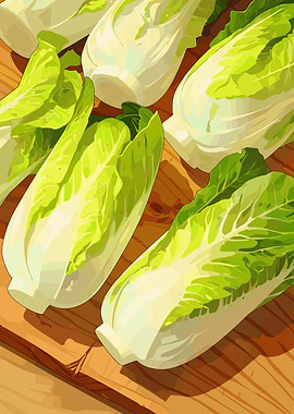 Fresh Napa Cabbage on Wooden Surface