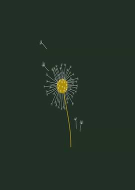 Dandelion Seeds on Dark Green Background