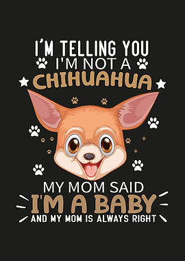 I'm Not A Chihuahua, I'm A Baby
