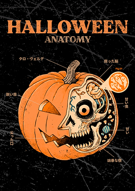 Halloween Anatomy