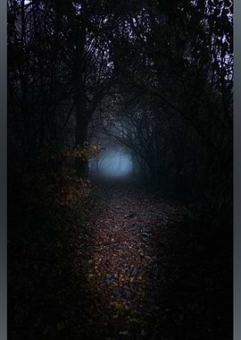 Dark Forest Path with Fog