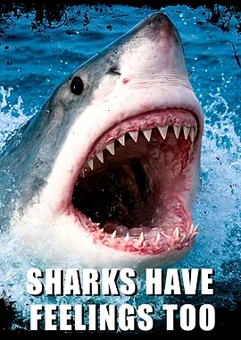 Shark Have Feelings Too
