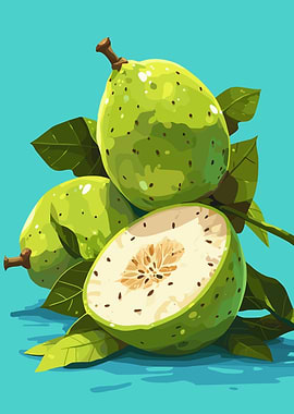 Green Guava Fruit Still Life