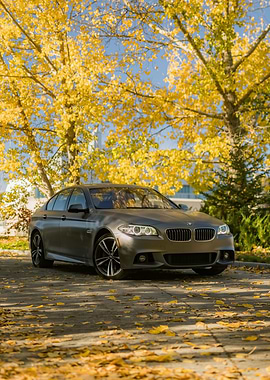 Gray BMW Sedan in Autumn Setting
