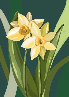Daffodils Illustration