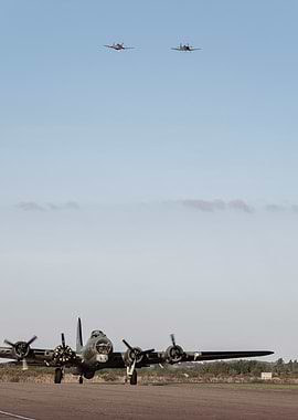 Vintage Aircrafts in Flight and on Ground